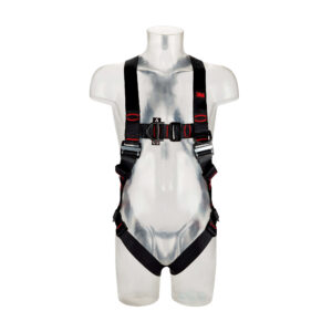 Harness (2 Point, Pass through buckle)