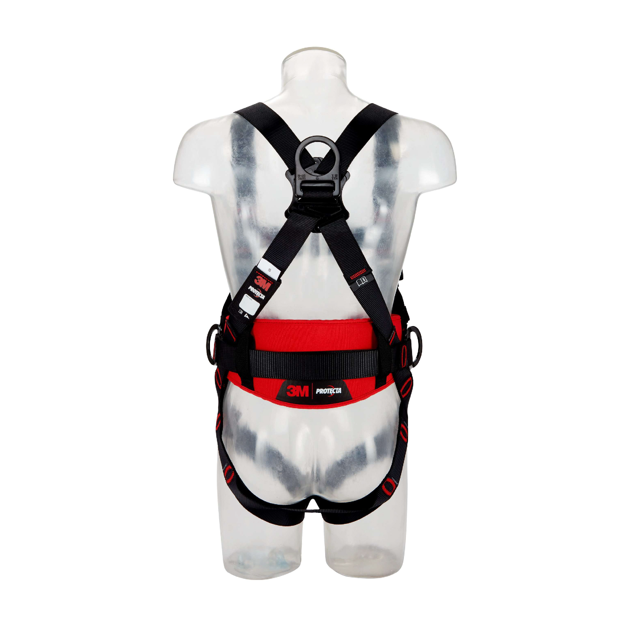 Harness with Belt (4 Point, Quick Connect)